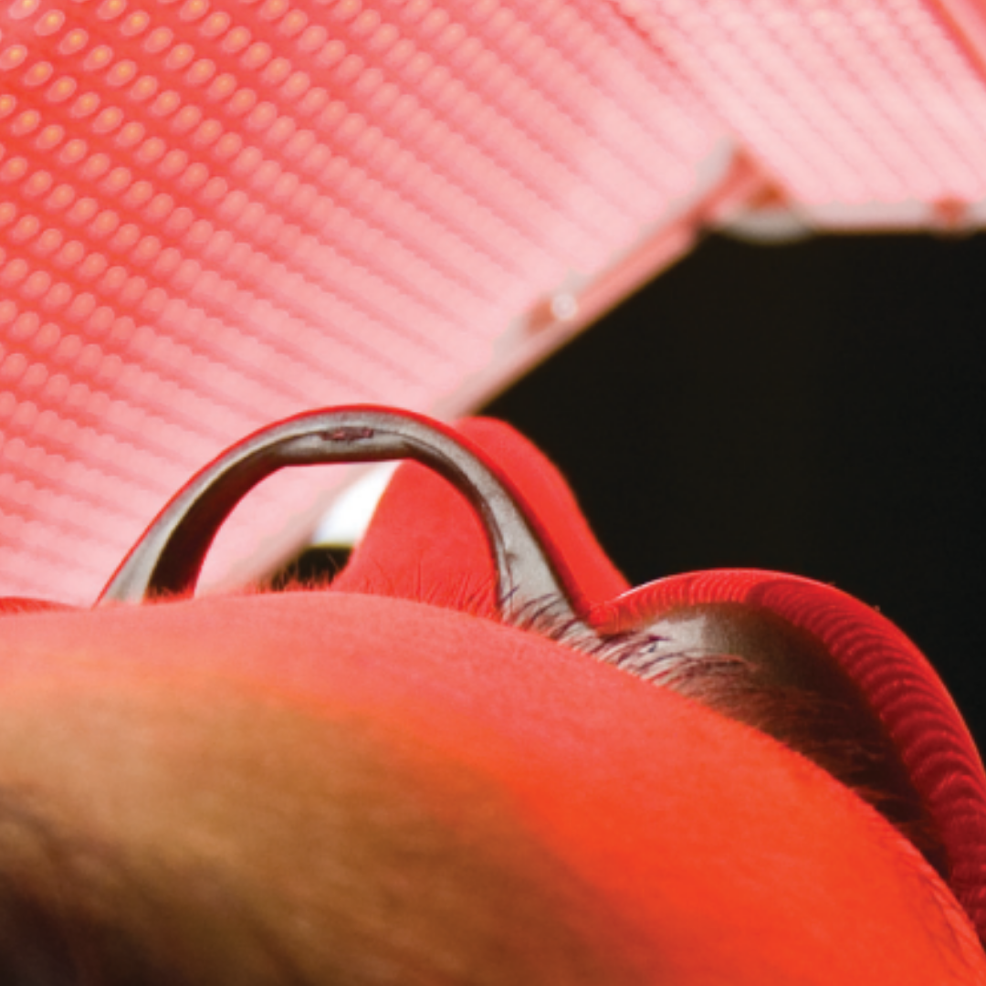 Relicensing Bio-Synthesis